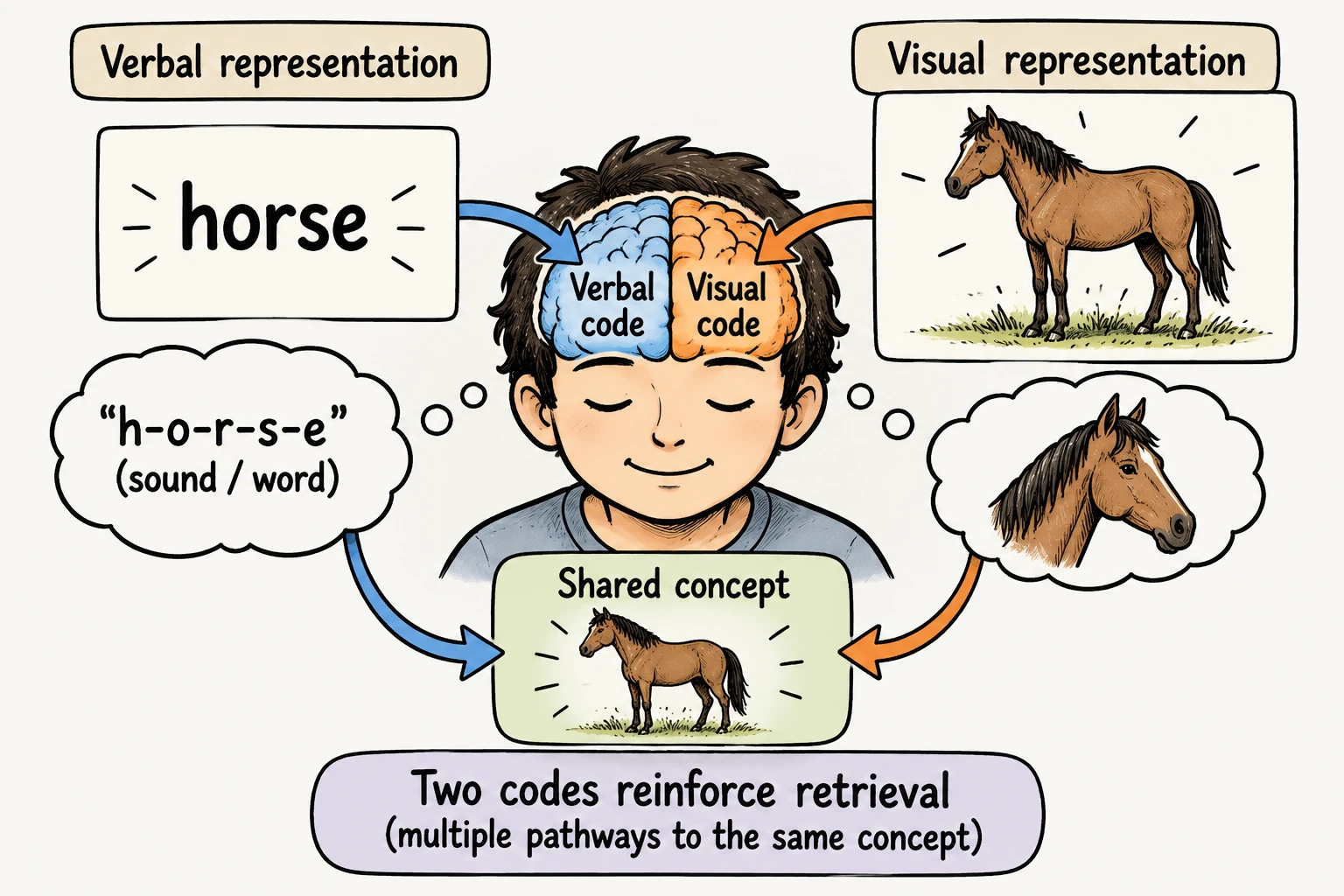 dual-coding